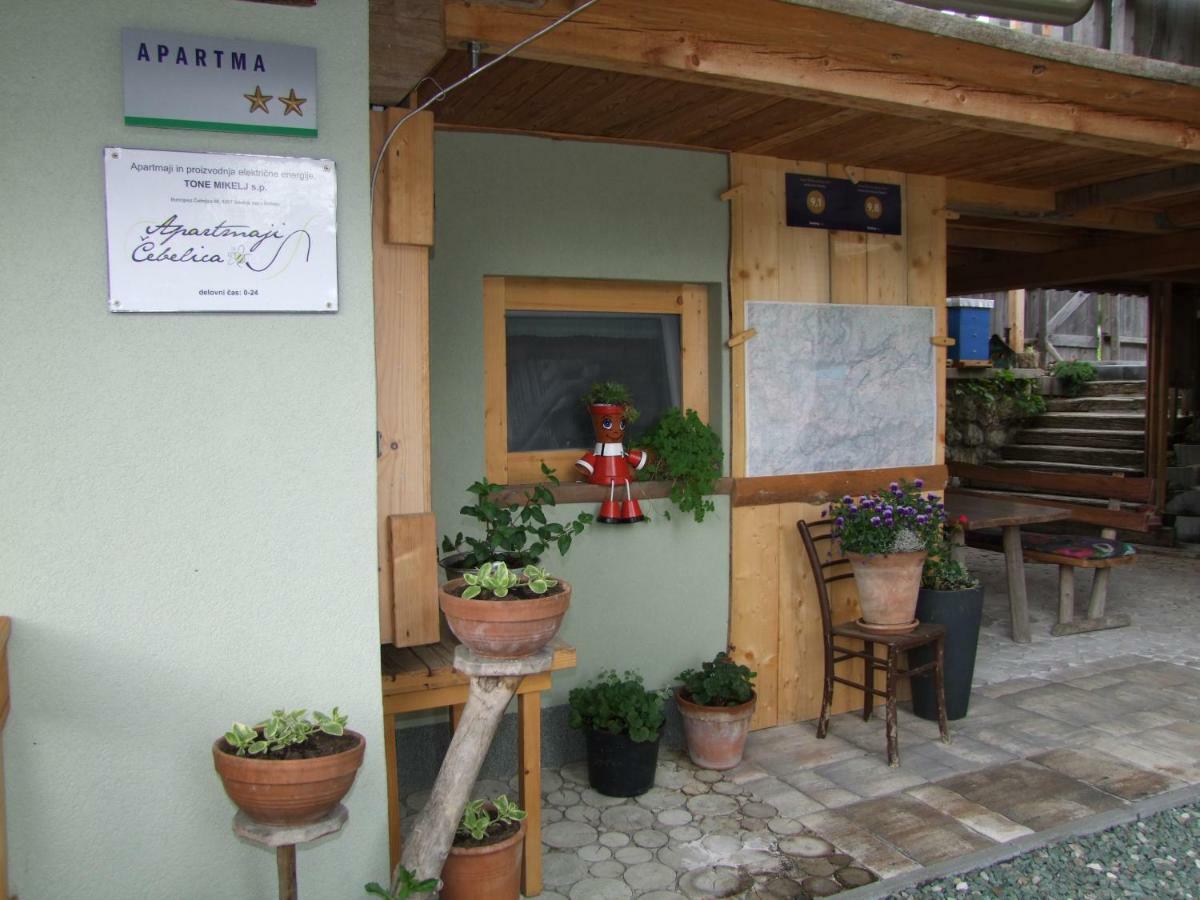 Apartments Cebelica Bohinji-tó Kültér fotó